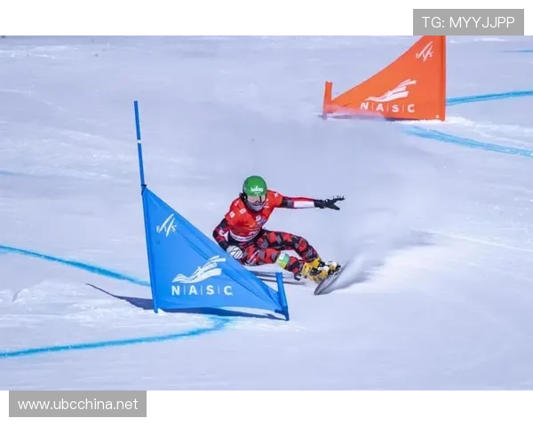 世界杯美国赛滑雪视频（世界杯美国赛滑雪视频完整版）sports